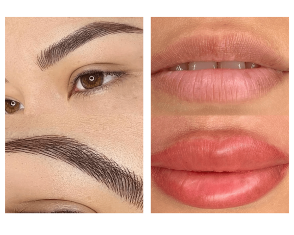 Eyebrows + Lips PMU All in one Bundle ( Nano Strokes, Ombre Shading, Microblading and Combination Technique, Lip Blushing, Dark Lip Neutralization)